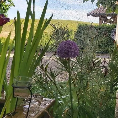 La Maison Des Vignes Guest house