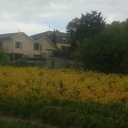 La Maison Des Vignes بيت ضيافة