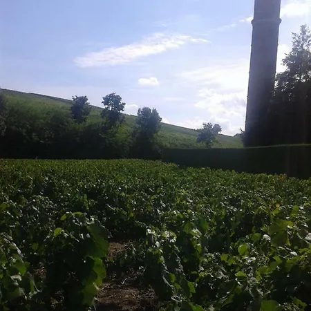 بيت ضيافة La Maison Des Vignes 3*