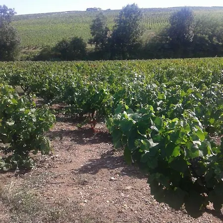 La Maison Des Vignes 3*