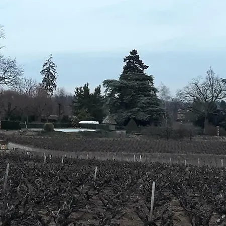 La Maison Des Vignes بيت ضيافة Charentay