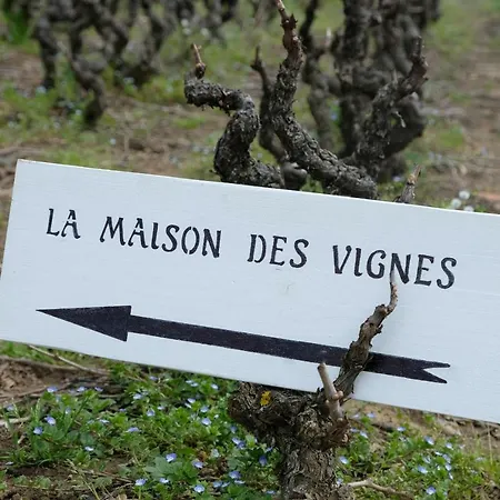 Guest house La Maison Des Vignes Charentay