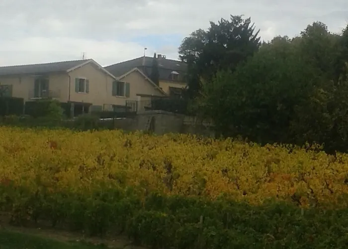 La Maison Des Vignes Gasthuis