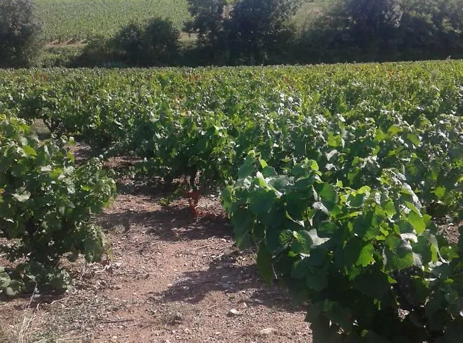 La Maison Des Vignes 3*