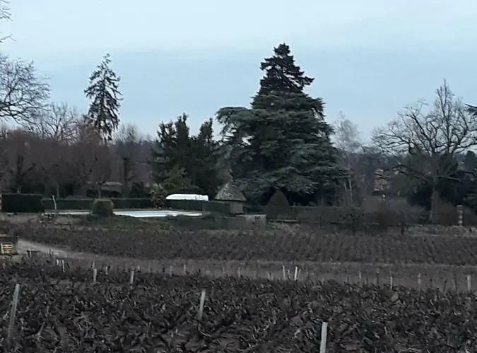 La Maison Des Vignes Gasthuis Charentay