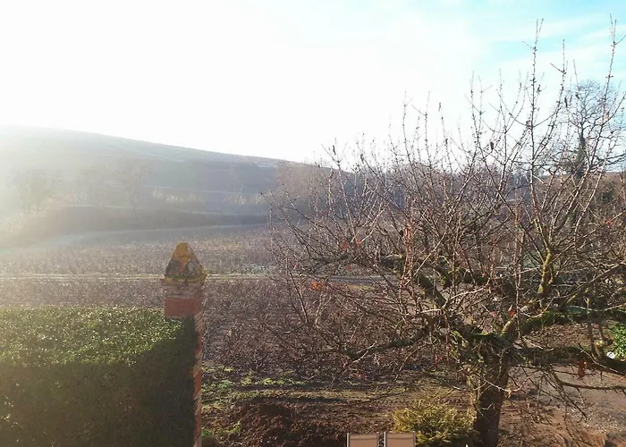 La Maison Des Vignes 3* Charentay