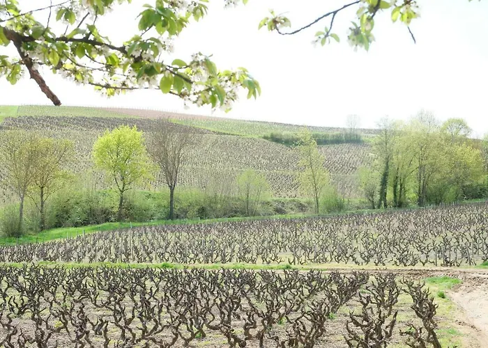 Gasthuis La Maison Des Vignes Charentay