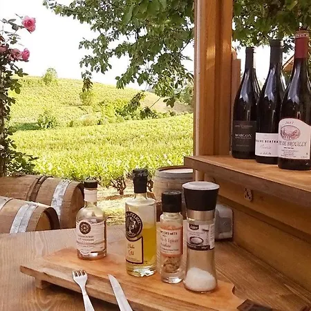 La Maison Des Vignes Guest house Charentay