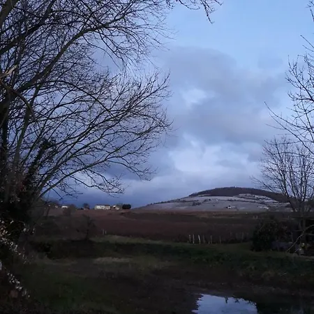 Gasthof La Maison Des Vignes