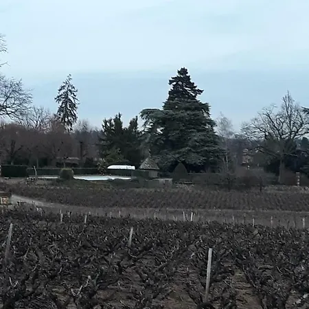 La Maison Des Vignes Guest house Charentay