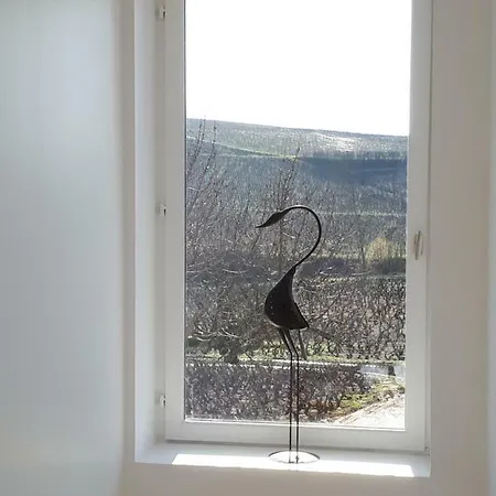 La Maison Des Vignes Guest house