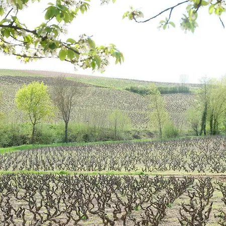 Vendégház La Maison Des Vignes Charentay